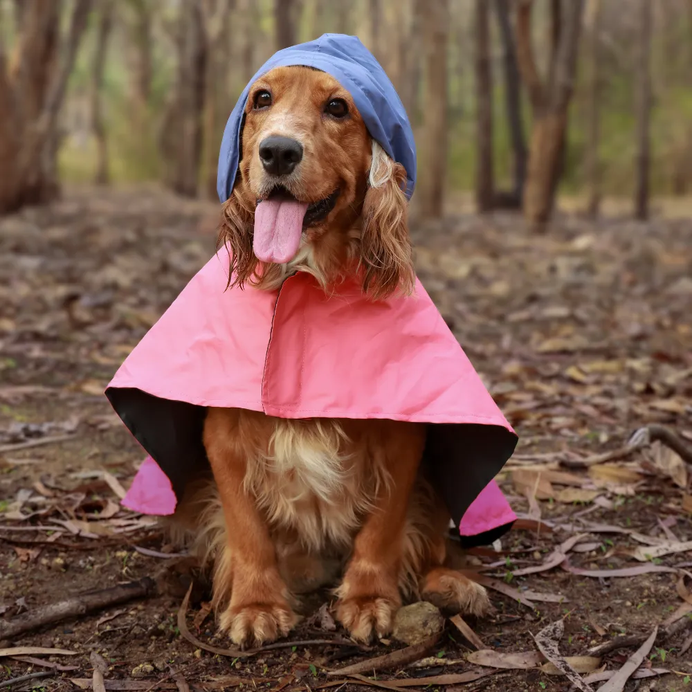Dual Colour Cape Dog Raincoat Red