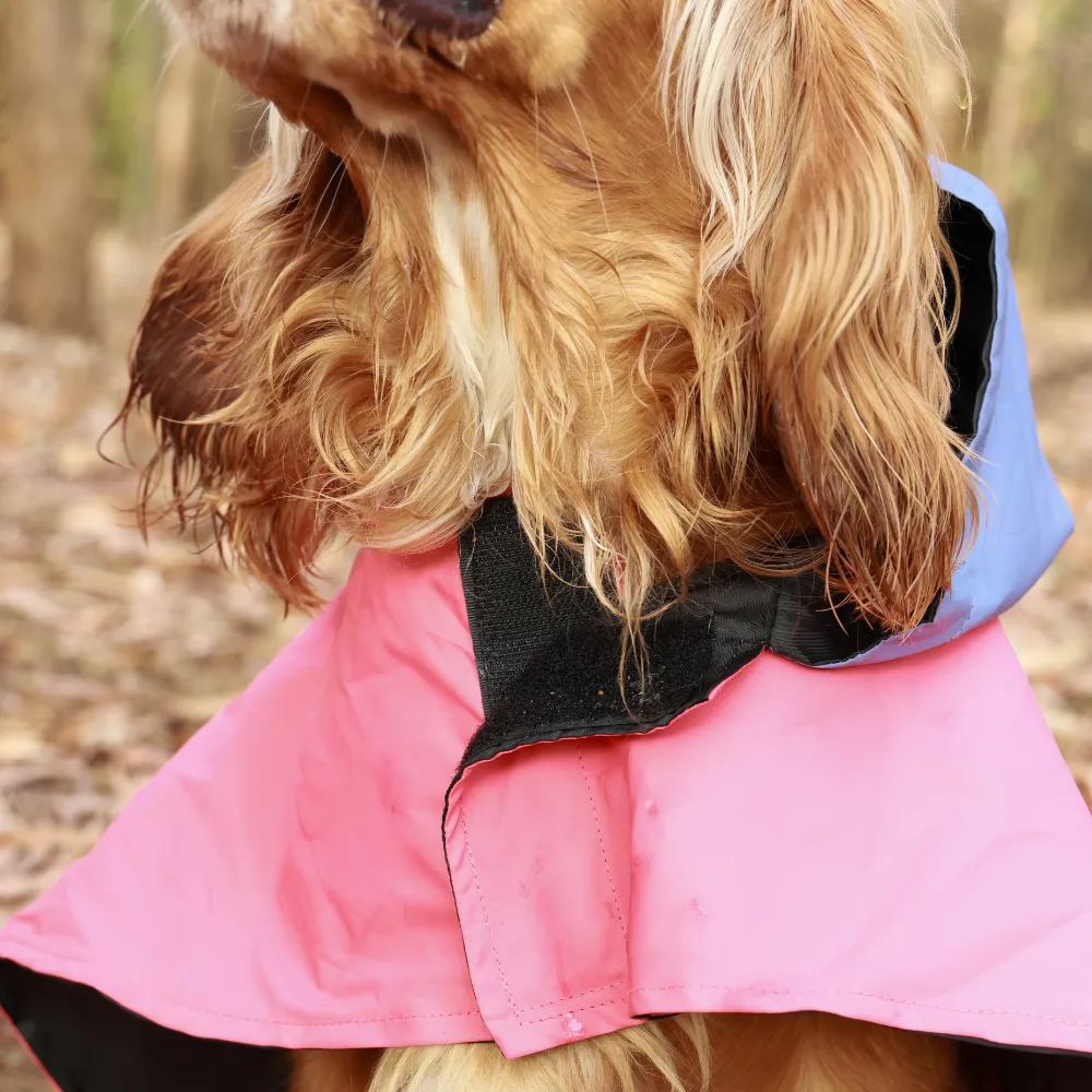 Dual Colour Cape Dog Raincoat Red
