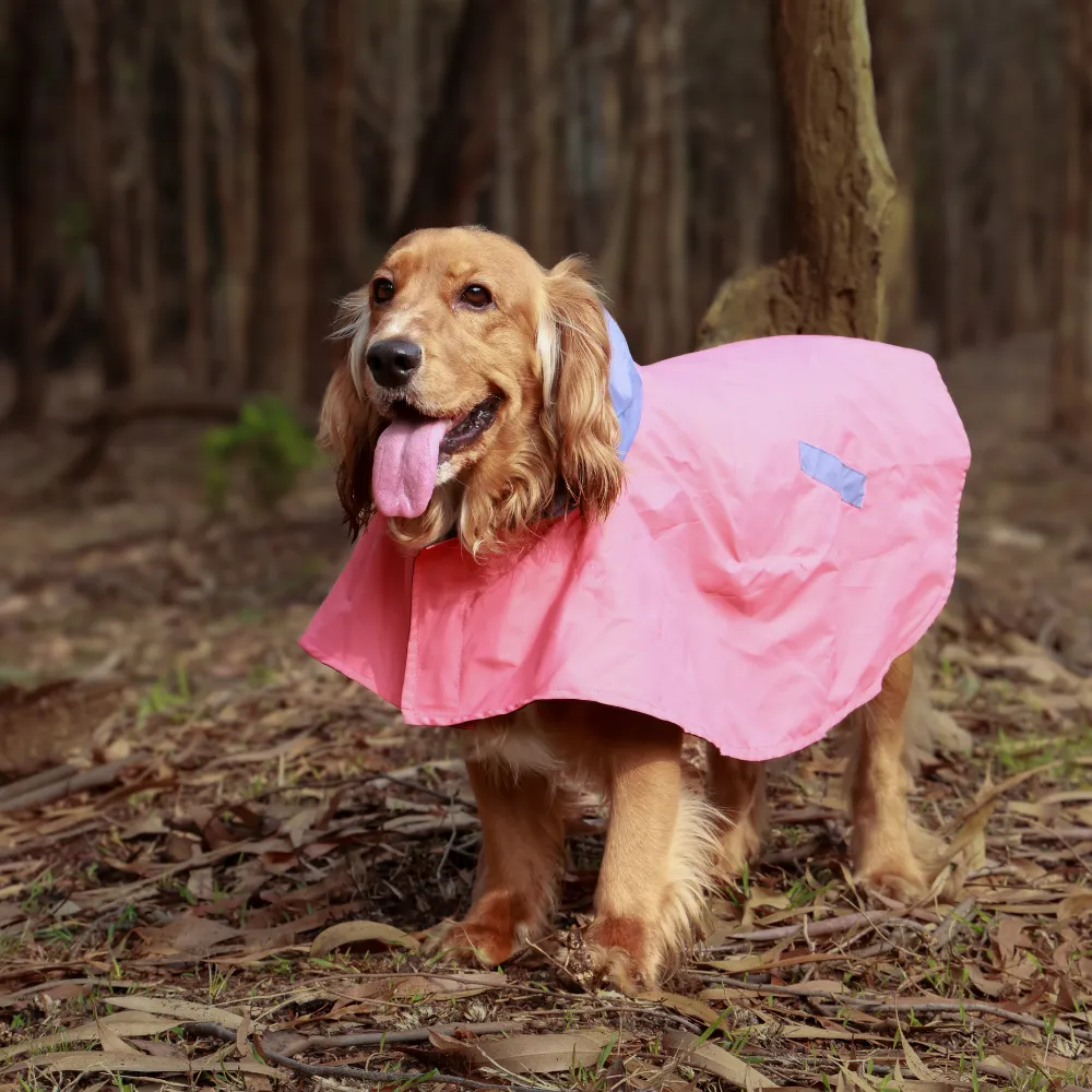 Dual Colour Cape Dog Raincoat Red
